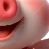 Video sticker 😃 Pay69 V'dayBig