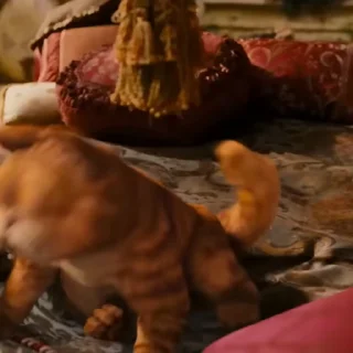 Video sticker 🐈 HEROPERSONALIT 🔥