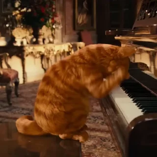 Video sticker 🐈 HEROPERSONALIT 🔥