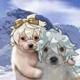 Video sticker 🤗 ZekTeR1