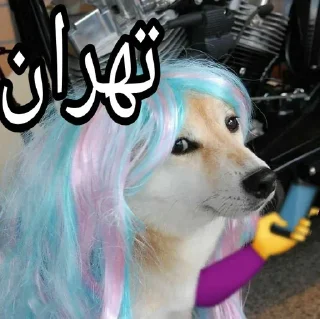 Telegram sticker 🤝 Ultimate karaj