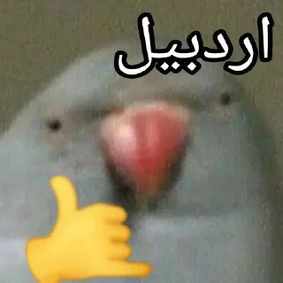 Video sticker 🤝 Ultimate karaj