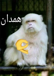 Telegram sticker 🤝 Ultimate karaj