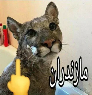 Telegram sticker 🤝 Ultimate karaj