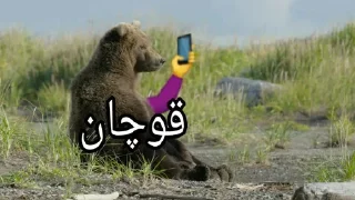 Telegram sticker 🤝 Ultimate karaj