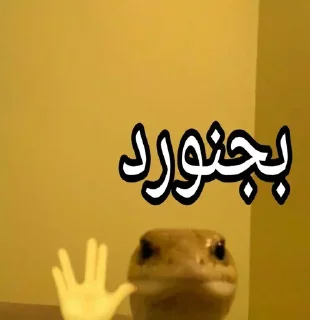 Video sticker 🤝 Ultimate karaj