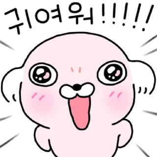 Video sticker ⭐ 빡빡개 강사장 6 @manbull_sticker_bot