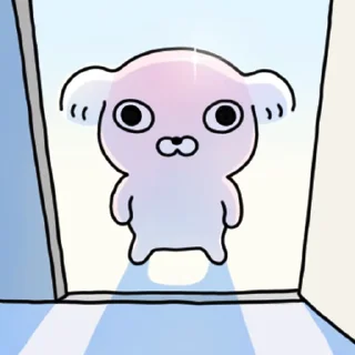Video sticker ⭐ 빡빡개 강사장 6 @manbull_sticker_bot