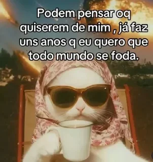 Video sticker 🌟 Mizera @agatthagata :: @fStikBot