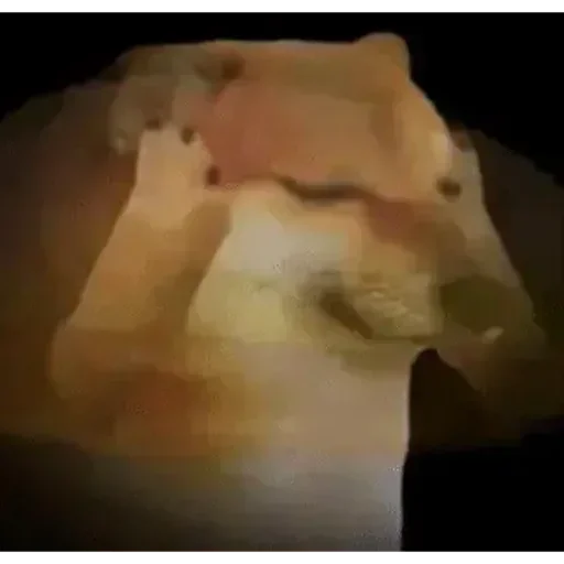 Телеграм стикер 🤔 💀@dark_0590