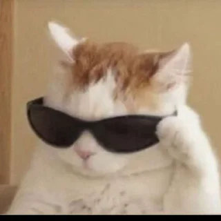 Video sticker 🙏 💀@dark_0590