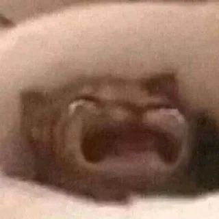 Telegram sticker 🤔 RONALDITOHOT777OMG :: @fStikBot