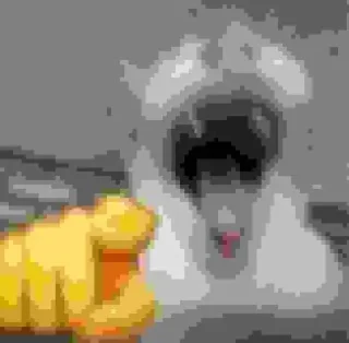 Telegram sticker 🌶 کیرخوری