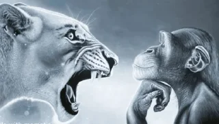 Telegram sticker 😡 Tiktok images