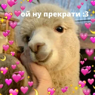 Telegram sticker 🥰 Пак Лёхи
