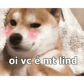 Telegram stiker 🥰 caguei duro doeu o cu     by @raivozo