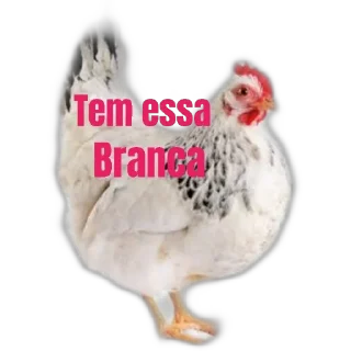 Video sticker 🐣 caguei duro doeu o cu     by @raivozo