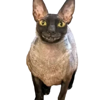 Video sticker 🕵️‍♀️ пиксель @pixel_gifs