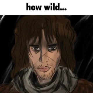 Video sticker 🗿 Limbus Company