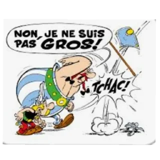 Video sticker 📚 Obelix