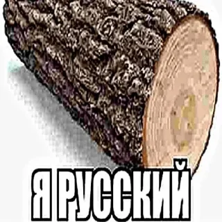 Telegram sticker 🇷🇺 Больше стиков тут: @archstick