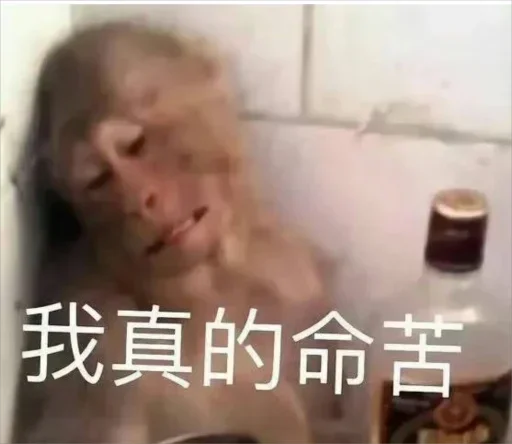 Telegram stiker 🦌 🌶专属表情包