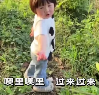 Video sticker 🌟 🌶专属表情包