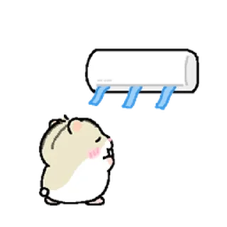 Telegram sticker ⭐ 햄랑이 썸머 스페셜 @moe_sticker_bot