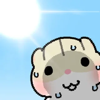 Video sticker ⭐ 햄랑이 썸머 스페셜 @moe_sticker_bot