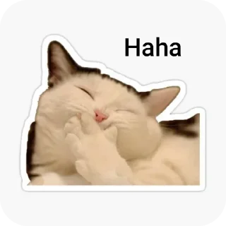 Telegram sticker 🤲 Rachelcreates :: @rachelcreates