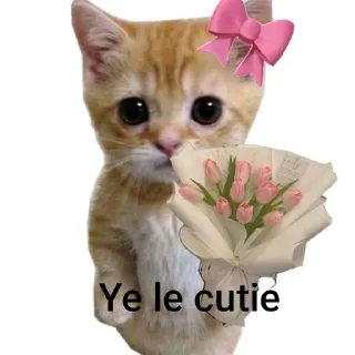 Telegram sticker 🐱 Rachelcreates :: @rachelcreates
