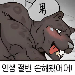 Video sticker 👻 뉴점망콘 @DCConSticker