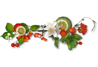 Video sticker 💐 Separator Flower Thick @PunjabiSticker