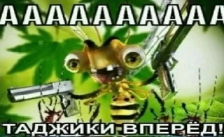 Sticker 🌚 Пон тампон :: @fStikBot