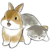 Sticker 🫠 Котята и Кролики @Nyasticks
