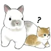 Sticker ⁉️ Котята и Кролики @Nyasticks