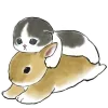 Sticker 🫠 Котята и Кролики @Nyasticks
