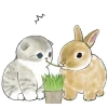 Sticker 😘 Котята и Кролики @Nyasticks