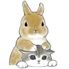 Sticker 👀 Котята и Кролики @Nyasticks