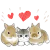 Video sticker 🥰 Котята и К...