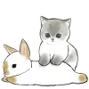 Sticker 🤤 Котята и Кролики @Nyasticks