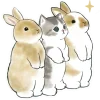 Video sticker 🥺 Котята и К...