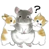 Sticker 🤨 Котята и Кролики @Nyasticks