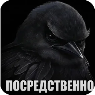 Sticker 🫥 Вряд - ли @bkseb