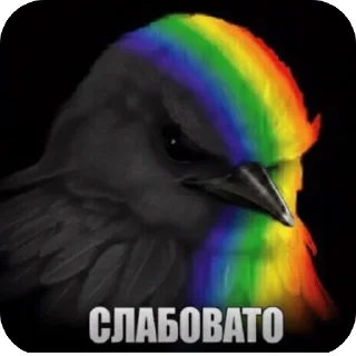 Video sticker 🫥 Вряд - ли @bkseb