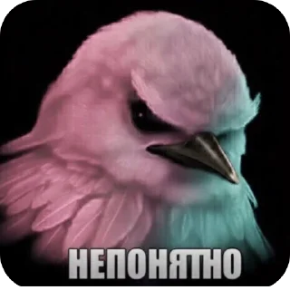 Video sticker 🫥 Вряд - ли @bkseb