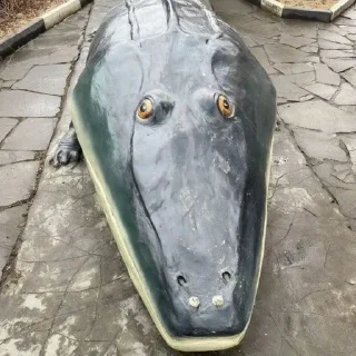 Video sticker 🐊 Dildorbek by @Ka1fDox
