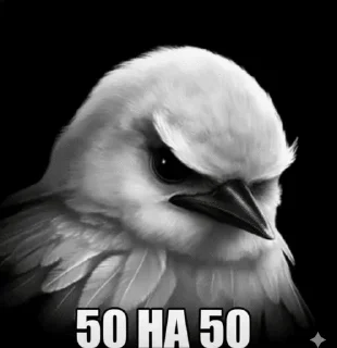 Video sticker 🌟 Вряд-ли :: @fStikBot