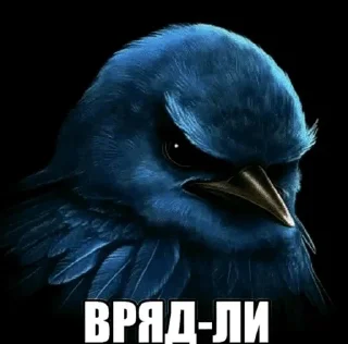 Video sticker 🌟 Вряд-ли :: @fStikBot