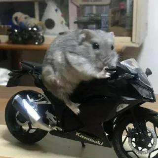 Video sticker 🤔 ᴡʜɪᴛᴇɢʜᴏsᴛ's sticker pack (@Toga_Robot)